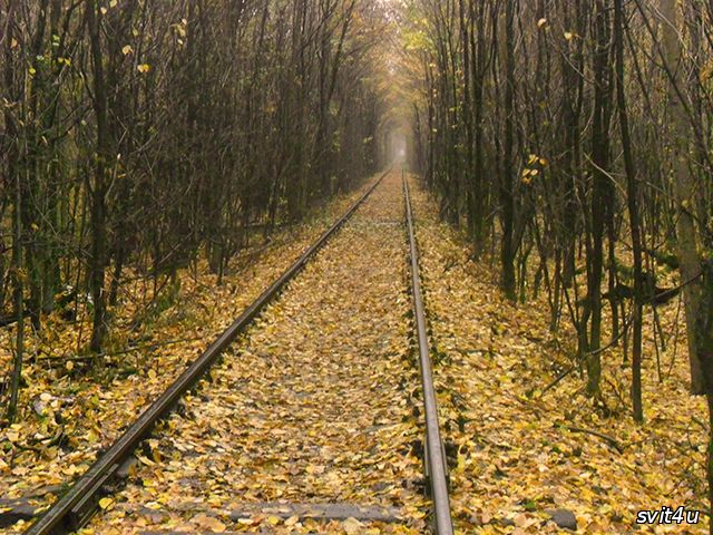 Тунель кохання. Клевань